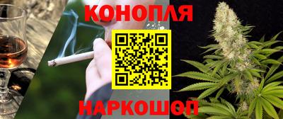 PSILOCYBIN Бугуруслан