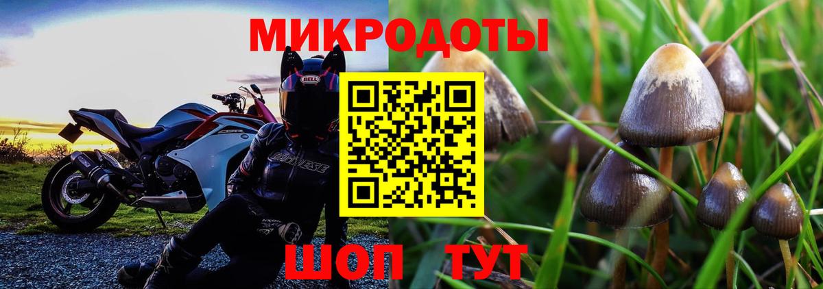 Галлюциногенные грибы Magic Shrooms Карасук