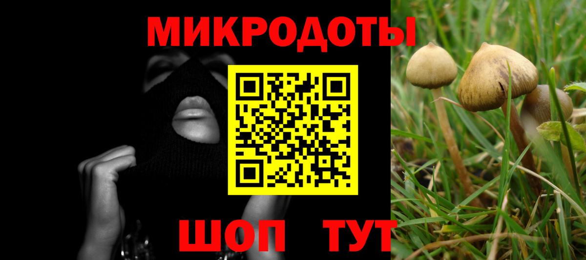 Псилоцибиновые грибы ЛСД  Вход с VPN  Карасук 